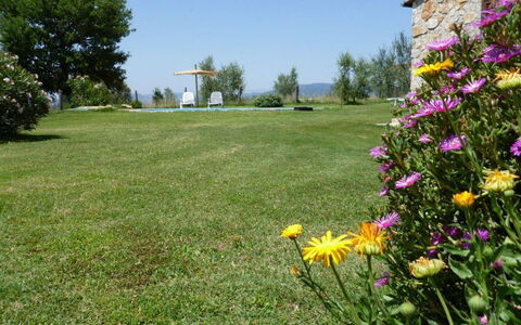 Funghi 1: Lawn, Meadow, Grass, Garden, Flower, Natural Environment, Yard, Grassland, Plant, Wildflower