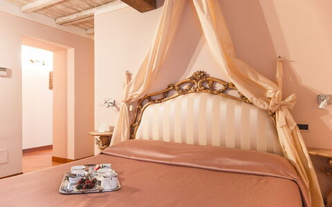 Accommodation:&nbsp;Camelia