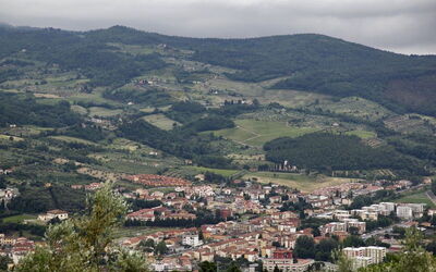 Accommodation:&nbsp;Pruno