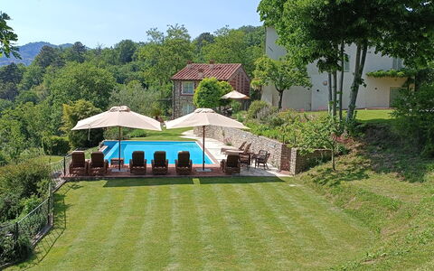 Angeloni: Plant, Tree, Sky, Land Lot, Shade, Grass, Building, Leisure, Landscape, Natural Landscape