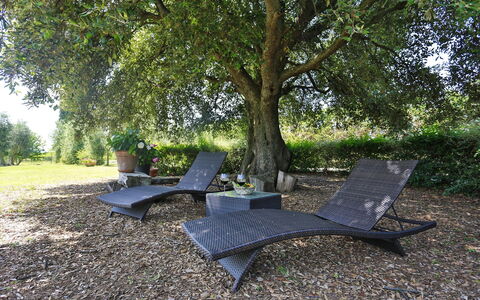 Villa Lorian: Tree, Furniture, Leaf, Grass, State Park, Table, Outdoor Furniture, Plant, Yard, Recreation