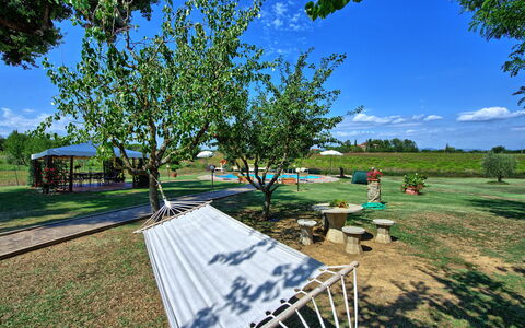 Casa Catia: Tree, Real Estate, Grass, Woody Plant, Leisure, Landscape, Plant, Rural Area, House, Recreation