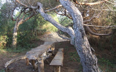 Appartamento - Le Finestre