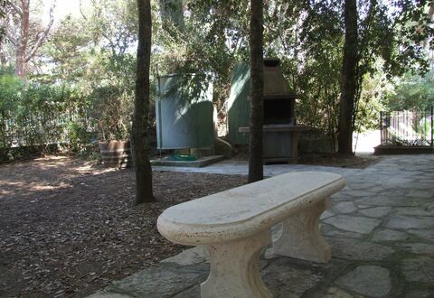 Villa Pineta: Bench, Property, Furniture, Tree, Table, Outdoor Bench, Grass, Room, Real Estate, Plant