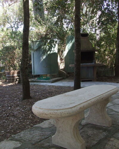 Villa Pineta: Bench, Property, Furniture, Tree, Table, Outdoor Bench, Grass, Room, Real Estate, Plant