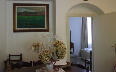 Accommodation:&nbsp;Dalia