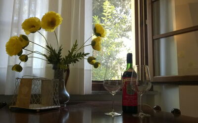 Accommodation:&nbsp;Fresia