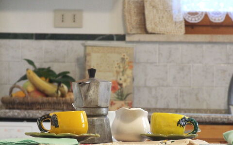 Villa Agrifogli: Yellow, Room, Serveware, Tableware, Still Life, Table, Furniture, Kitchen, Still Life Photography