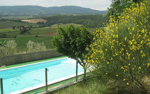 Casale Biancospino: Natural Landscape, Yellow, Tree, Rural Area, Grass, Spring, Meadow, Plant, Landscape, House